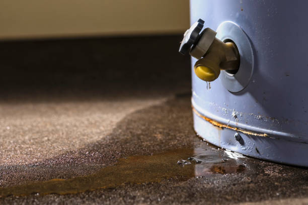 Professional Water damage restoration in AZ