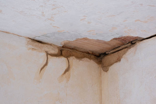 Best Water damage restoration near me  in Kearny, AZ