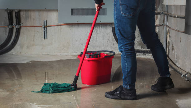 Best Water damage restoration cost  in Kearny, AZ