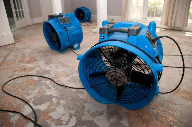 Best Flooded house restoration  in Kearny, AZ