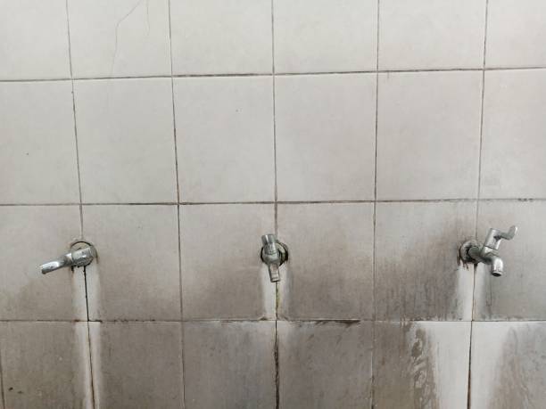 Best Water damage cleanup near me  in Kearny, AZ