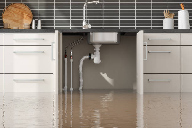 Best Sewage cleanup and water damage restoration  in Kearny, AZ