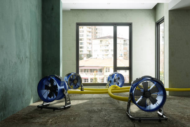 Best Flood damage cleanup  in Kearny, AZ