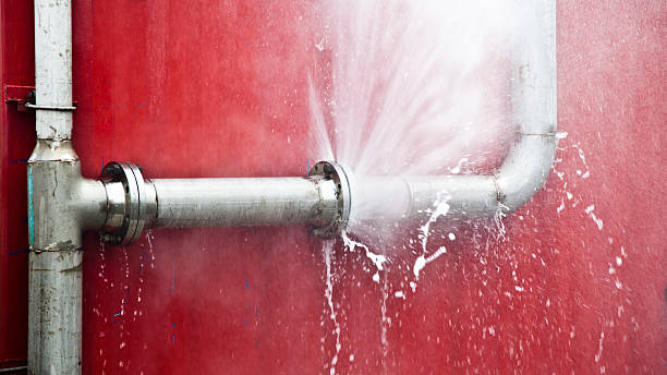 Best Local water damage restoration  in Kearny, AZ